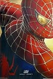Spiderman 2 - Teaser - 22x34 Movie Poster