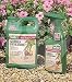Safer Garden Fungicide Conc. - 16 oz