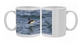 Balearic Shearwater - in flight - running on the sea to take off Photo Mugs