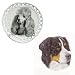 Full Color Bernese Mountain Dog Heart Shaped Plate, Porcelain by Rosalinde (8' diameter)