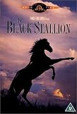 The Black Stallion [UK IMPORT] - Kelly Reno