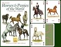 Horses & Ponies Playing Cards
