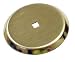 Tools & Hardware : Amerock Traditional Classics 2 1/2" Knob Backplate Polished Brass