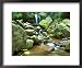 Grotto Falls, Great Smoky Mountains National Park, Tennessee, USA Collections Framed Art Poster Print by Rob Tilley, 22x18