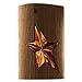 A*Men Pure Wood - Eau de Toilette