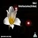 Minimal House Lacrimosa (W.A.Mozart) at MP3 downloads for the name: 41PVicAteuL._SL75_
