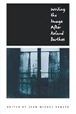Writing the Image After Roland Barthes (New Cultural Studies Series)
