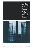 Writing the Image After Roland Barthes (New Cultural Studies Series)