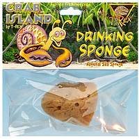 T-Rex Inc H.Crab Drinking Sponge