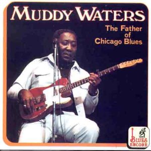 Muddy Waters - What