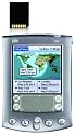 Palm m515
