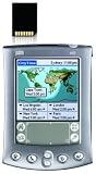 Palm m515