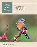 Wild Bird Guide: Eastern Bluebird (Wild Bird Guides)