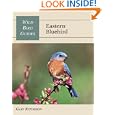 Eastern Bluebird (Wild Bird Guides) by Gary Ritchison