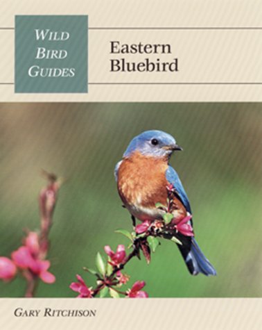 Birding