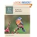 Eastern Bluebird (Wild Bird Guides)