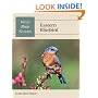 Eastern Bluebird (Wild Bird Guides)
