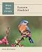 Book Eastern Bluebird (Wild Bird Guides)
