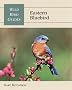 Eastern Bluebird