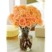 Two Dozen Peach Roses