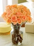 Two Dozen Peach Roses, Eco-Friendly - Veriflora Certified