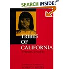 Click here to buy Tribes of California by  Stephen Powers.