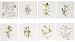 KOHLER Prairie Flowers Decorative Field Tile, Six Floral and Two Quotation Tiles, Biscuit #14207-WF-96