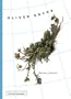 Oaxaca Journal (National Geographic Directions)