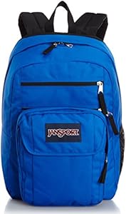 JanSport Mens Digital Carry Mainstream Digital Student Backpack - Blue Steak / 18