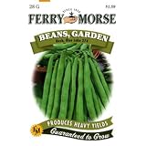 Ferry-Morse 1424 Bean Seeds, Blue Lake 274, Bush (28 Gram Packet)