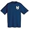 NY Yankees Fanatic Fan