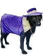 Fun Pet Halloween Costume Pimp Doggy