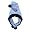 Tennessee Titans
