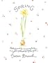 Spring Little Book