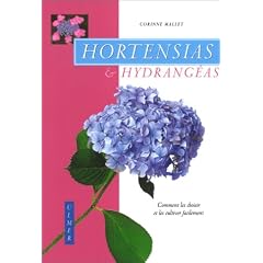 Hortensias et hydrang�as : Comment les choisir et leur cultiver facilement