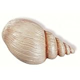 Siro Designs 67-128 Caribe Themed Knob - Pearlized Beige