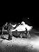 Arabs Sit with Camels under Desert Moon Watching Gas Burn Due to Fire Hazard in Oil Drilling Photographic Poster Print by Thomas D. Mcavoy, 12x16