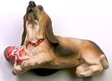 Basset Hound