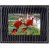 Parrot PV7NITSAL 7 Photo Viewer Bluetooth Enabled Digital Picture Frame