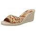 Hollywould Women's Regina Espadrille,Brown Stripe,38 EU (US Women's 8 M)