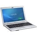 Sony Vaio YB3V1E/S 29,4 cm (11,6 Zoll) Notebook (AMD E-450, 1,65GHz, 4GB RAM, 500GB HDD, AMD HD 6320, Win 7 HP) silber