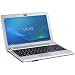 Sony Vaio YB3V1E/S 29,4 cm (11,6 Zoll) Notebook (AMD E-450, 1,65GHz, 4GB RAM, 500GB HDD, AMD HD 6320, Win 7 HP) silber