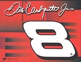 Dale Earnhardt Jr. Nascar Racing Driver Flag