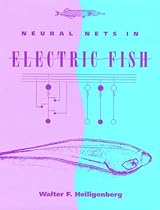 Neural Nets in Electric Fish (Computational Neuroscience)