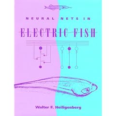 Neural Nets in Electric Fish (Computational Neuroscience)