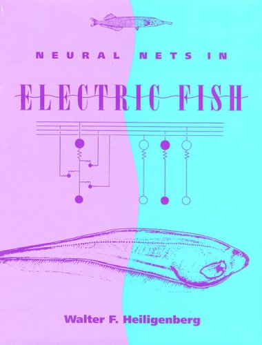 Cover image : Neural Nets in Electric Fish (Computational Neuroscience)