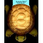 Portable Pets: Turtle (Portable Pets)