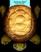 Turtle (Portable Pets)