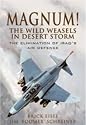 Magnum! The Wild Weasels in Desert Storm: The Elimination of Iraq's Air Defence