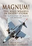 MAGNUM! THE WILD WEASELS IN DESERT STORM: The Elimination of Iraq s Air Defence